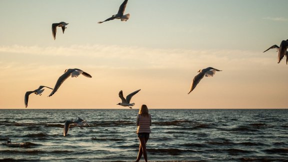 Savus pazudušos radiniekus un draugus meklē cilvēki no ārzemēm un Latvijas Savus pazudušos radiniekus un draugus meklē cilvēki no ārzemēm un Latvijas
