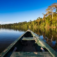 В Амазонии члены наркомафии изнасиловали и убили британскую путешественницу