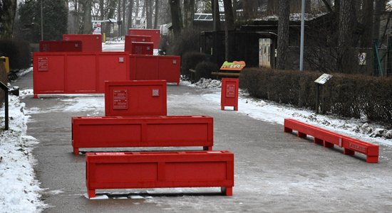 Foto: Tuvāk dzīvniekiem – dizainers Artūrs Analts radījis īpašu instalāciju Rīgas Zoo