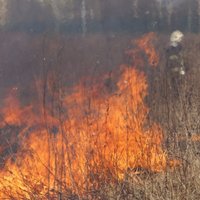 Из-за теплой погоды случился первый в этом году пожар сухой травы