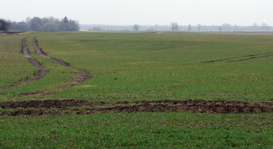 Sezonas laukstrādniekiem paredzēts īpašs nodokļu režīms, norāda VID