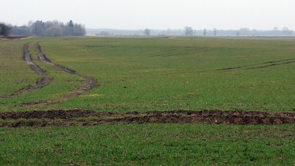 Ziemāju lauks Tērvetes novadā,Ziemāju lauks, pavasaris, lauks, augsne, sēja