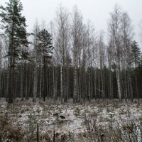 В первой половине декабря в Латвии ожидается мало осадков