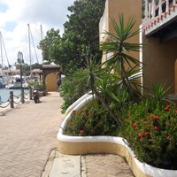 Soloburātājs: ja paradīzei vajadzētu galvaspilsētu, Bonaire varētu tikt nominēta