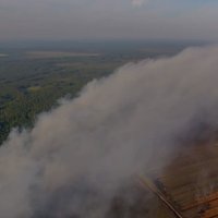 Дым от лесного пожара в Латвии создал смог на севере Литвы