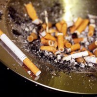 Озолниеки не успели оспорить отмененный Спруджсом запрет на курение на лоджиях