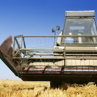 Из-за дождей Латвии грозят крупные потери урожая зерновых