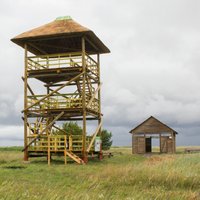 Randu pļavās atjaunots putnu vērošanas tornis un atklāta pastaigu laipa
