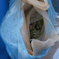 Policija studentu kopmītnē Liepājā atrod narkotikas