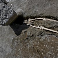 Раскрыта реальная причина смерти мужчины, "пережившего" извержение Везувия