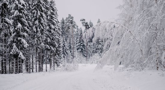 Autovadītāju ievērībai: sniegs un apledojums apgrūtina braukšanu visā Latvijā 