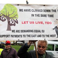 Бюджет ЕС: крестьяне не хотят быть в роли "дурачка" и готовятся к протестам