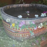 Vasaras saulgrieži – jādodas dabā lasīt augus īpašai bērna vanniņai