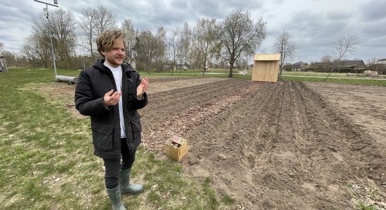 Fonds 'Viegli' iestādījis kulturālos kartupeļus Kuldīgā