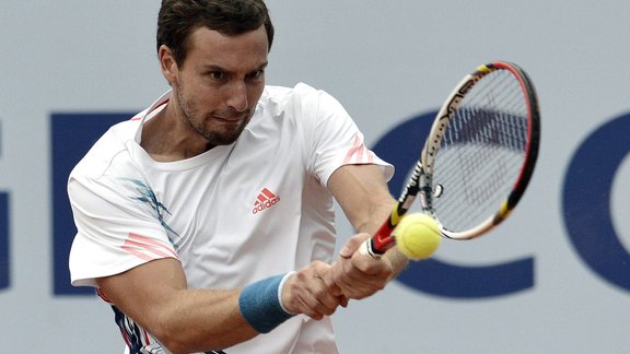 Gulbis