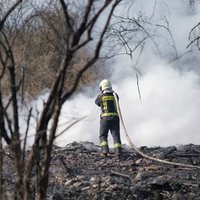 В Пардаугаве горела нелегальная свалка: площадь пожара составила более 400 квадратных метров