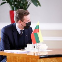 Глава МИД Литвы: мы должны добиться, чтобы Минский аэропорт стал бесполетной зоной