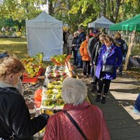 Tradicionālie Rudens ražas svētki Bulduros notiks 7. oktobrī