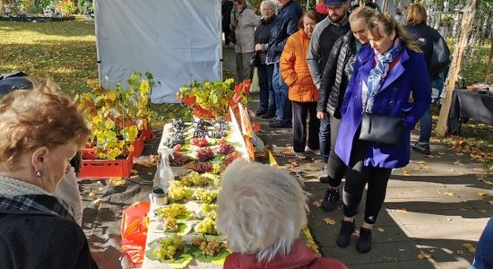 Tradicionālie Rudens ražas svētki Bulduros notiks 7. oktobrī