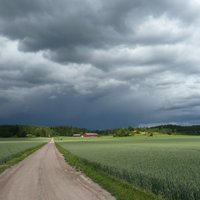 Грозовые тучи покидают Латвию; в четверг вечером с запада придет дождь