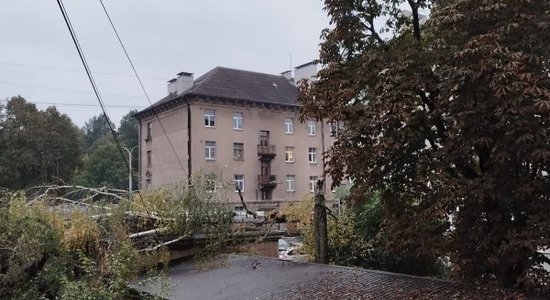 Чемпионы Латвии по отфутболиванию. "Буря повалила дерево на мой дом в Риге. Никто не мог убрать его неделю"