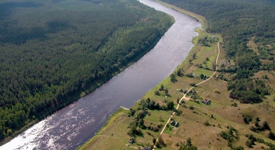 Daugavas lokos nelikumīgi izcirsti gandrīz četri hektāri meža