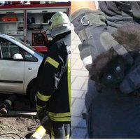 Foto: Glābēji Rīgā atbrīvo auto motortelpā iesprūdušu kaķēnu