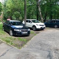 "Везде, где свободно": очевидец возмущен парковкой машин в Агенскалнских соснах