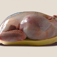Россия отказалась допускать в страну мясо птицы из США