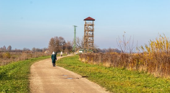 Foto: Lielupes palienes pļavas ar skatu torni, savvaļas zirgiem un retiem augiem