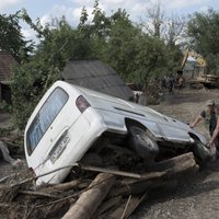 Nelikumīga mežu izciršana Ukrainā novedusi pie lielākajiem plūdiem 20 gadu laikā, uzskata prokuratūra