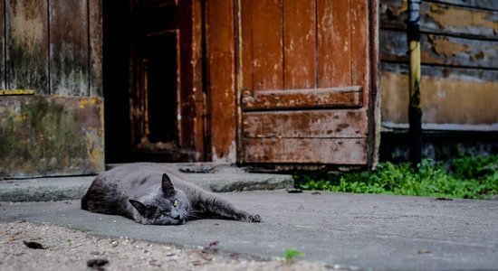 Jūlija pirmā dekāde Latvijā – sešus grādus siltāka par normu