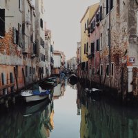 ВИДЕО. Карантин в Венеции: в каналах очистилась вода и появились рыбы