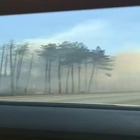 Video: Pamatīgs kūlas un meža ugunsgrēks izcēlies Varakļānu novadā