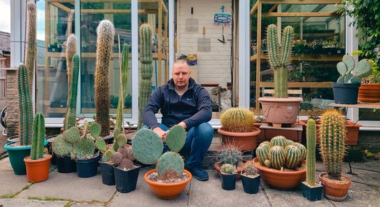 Ar pretenziju uz lielāko kolekciju Latvijā. Kaktusu valdnieks Kārlis Mūsiņš