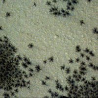 Marsa zondes uzņemtos attēlos redzami melni 'zirnekļi' – kas tie ir?