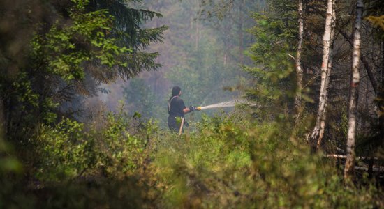 VMD: Ugunsgrēks Valdgales pagastā platības ziņā nepārspēj Latvijā vēsturiski lielākās ugunsnelaimes