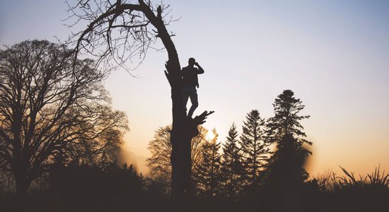 Не наступайте на одни и те же грабли дважды: ошибки, которые успешные люди не повторяют