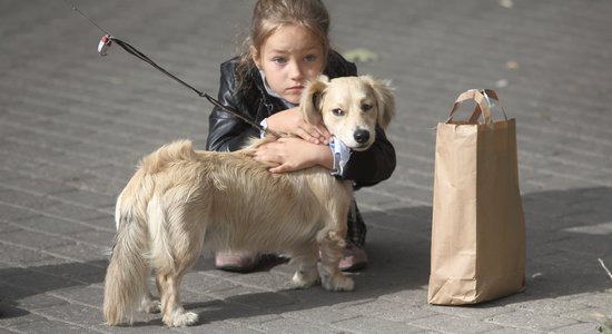 Foto: Adoptēto suņu salidojumā saimnieki priecājas par saviem mīluļiem