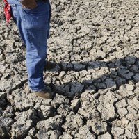 11 тысяч ученых предупреждают о грядущем климатическом бедствии