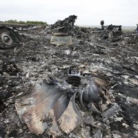 The Guardian узнала выводы следствия о катастрофе с МН17 в Донбассе