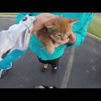 Video: Motocikliste uz ielas izglābj mazu kaķēnu