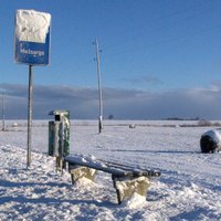 Перевозчики пассажиров: существование отрасли под угрозой