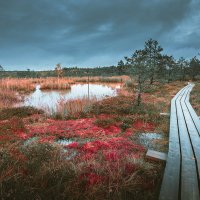 Pieci dabas objekti Latvijā, kurus apvij stāsti par raganām