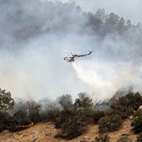 Kalifornijā savvaļas ugunsgrēks sasniedzis Josemitu nacionālo parku