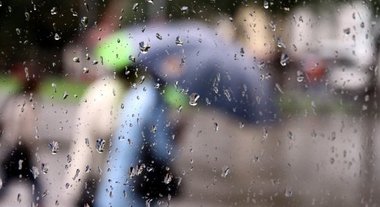Синоптики: пятница будет дождливой, местами возможны грозовые ливни