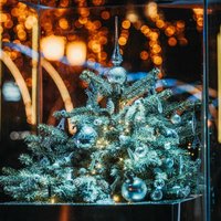 ФОТО. Самая маленькая в Балтии? В Клайпеде зажглись огни на рождественской елочке, высотой всего 55 сантиметров