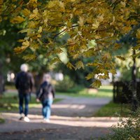 Šonakt gaidāma pirmā rudens salna; Latvijā sācies meteoroloģiskais rudens