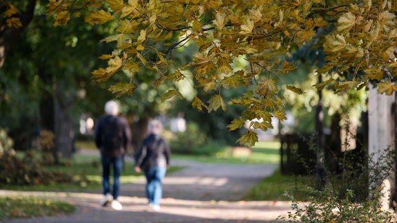 Rudens Rīgā ddt20231014 - 6