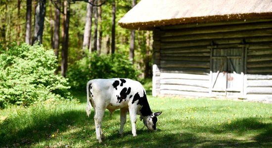 Būtiski pieaugs ieejas biļešu cenas Brīvdabas muzejā